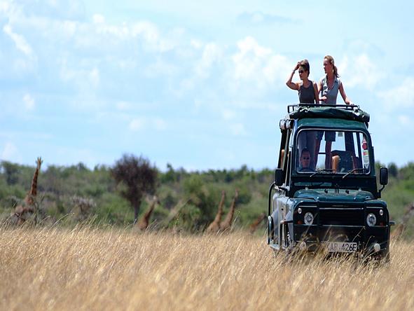 Porini Mara Camp - Game Drive 